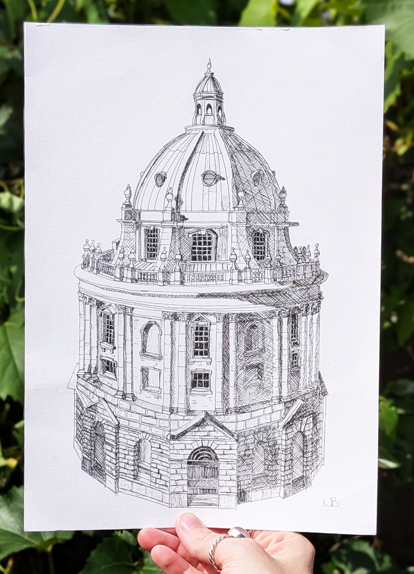 Black and white architectural drawing of a domed building held against a green leafy background