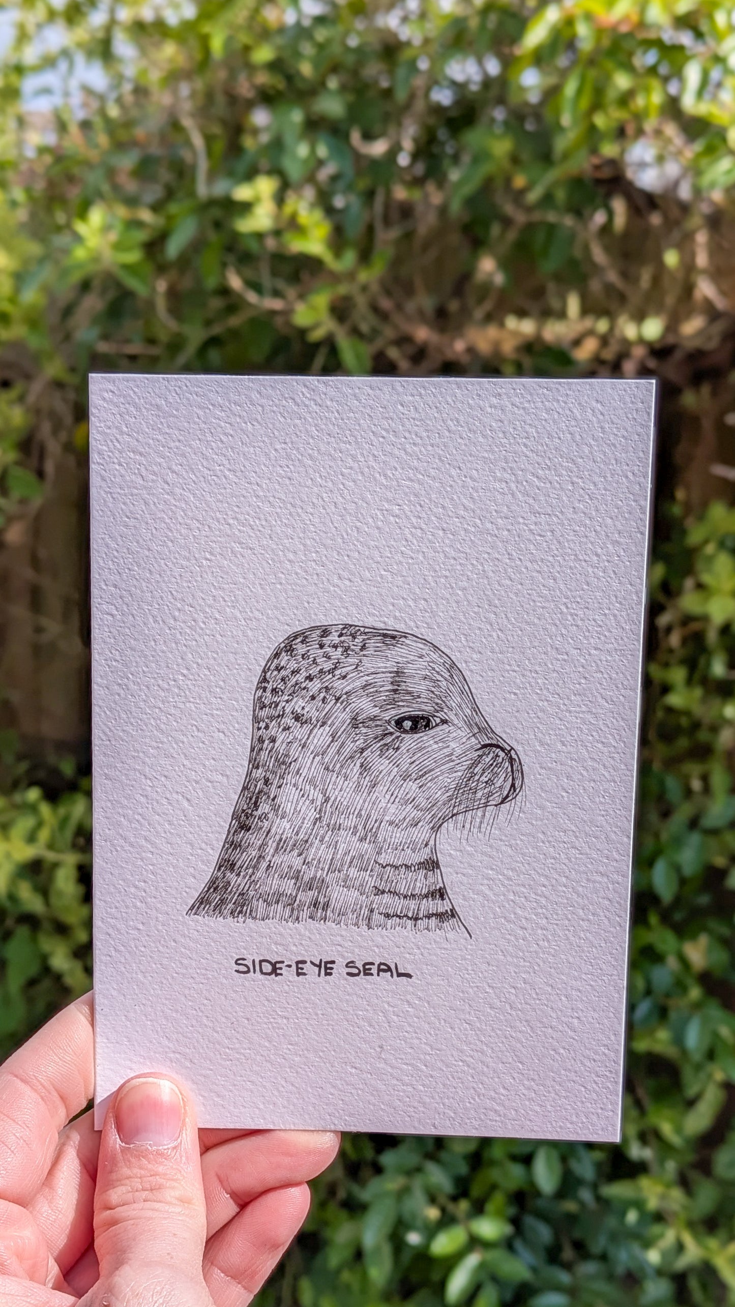 Seal Greetings Card - Quirky Unique Hand-Drawn Fineliner Card for Birthday, Anniversary, Thank You, Sorry, Seal Lover, Funny Card