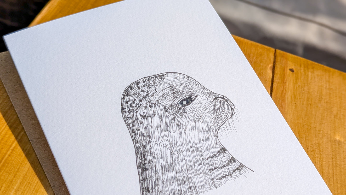 Seal Greetings Card - Quirky Unique Hand-Drawn Fineliner Card for Birthday, Anniversary, Thank You, Sorry, Seal Lover, Funny Card