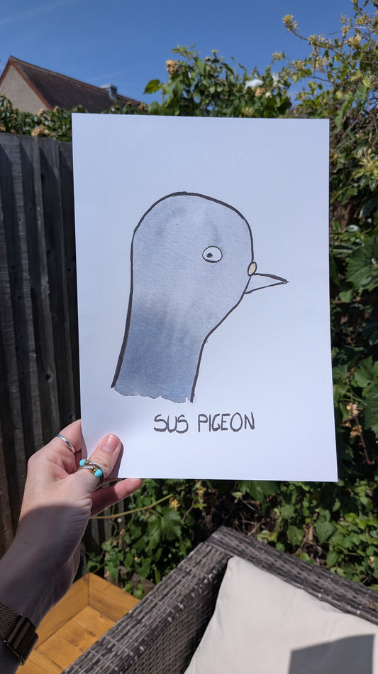 Sus Pigeon A4 print
